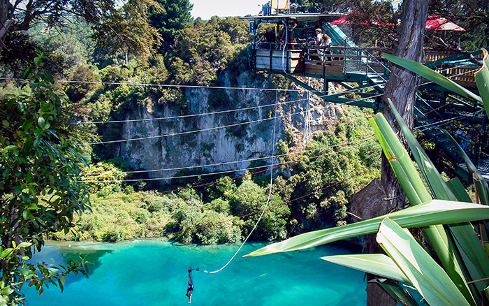 yeni zelanda bungy