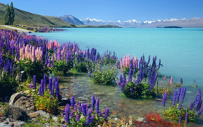 yeni zelanda görülmesi gereken yerler