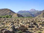 Kaya Yüzündeki Resimler: Petroglifler, Kırgızistan Issy-Kul-Historical-Cultural-Museum