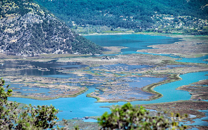 dalyan gezilecek noktalar