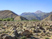 Kaya Yüzündeki Resimler: Petroglifler, Kırgızistan Issy-Kul-Historical-Cultural-Museum