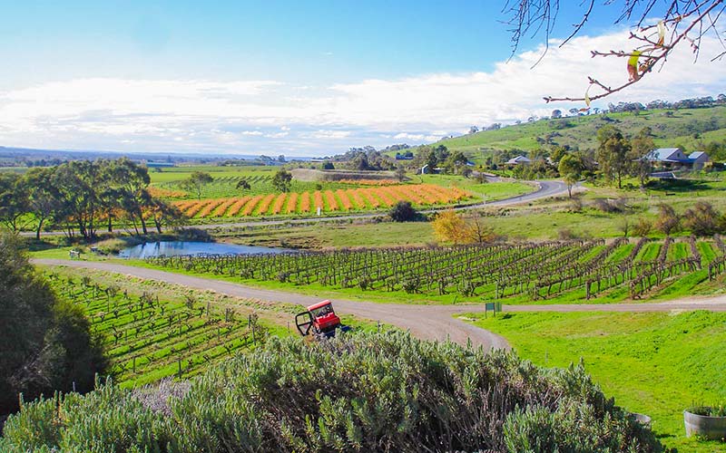 Barossa Valley Adeliade City