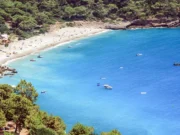kabak koyu