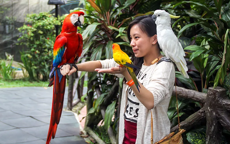 kuala lumpur en güzel yerler
