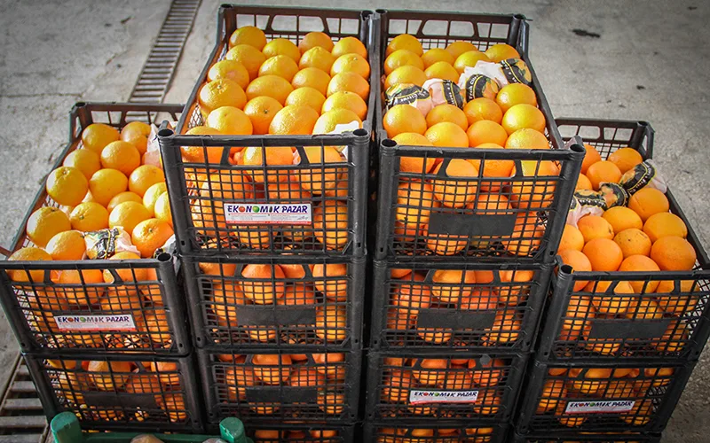 ortahisar-narenciye-deposu