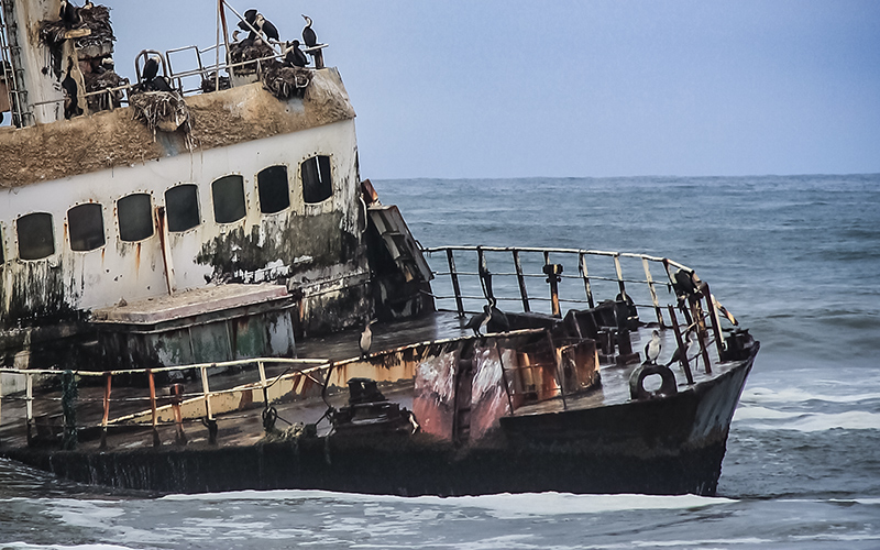 skeleton coast