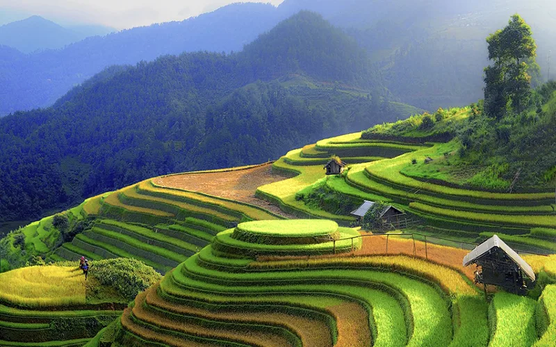 vietnam sa pa