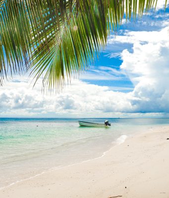 Fiji Nerede 📍 Fiji’ye Nasıl Gidilir   fiji nerede