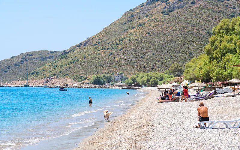 palamutbükü nasıl gidilir