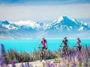 Yeni Zelanda Hakkında Bilgiler yeni zelanda hakkında bilgiler