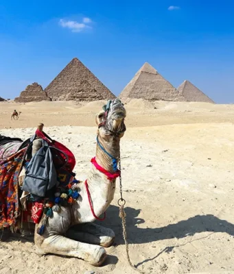 Mısır Nasıl Bir Yer? Nerede, Nasıl Gidilir, Gezi Planı mısır nerede