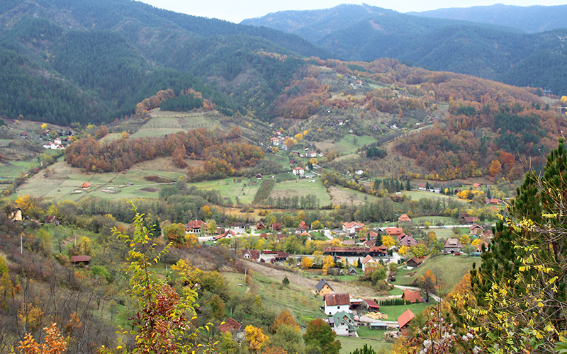 mokra gora