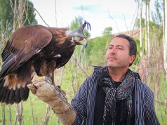 Kırgızların Geleneksel Avcılığı: Salburun salburun kırgızistan