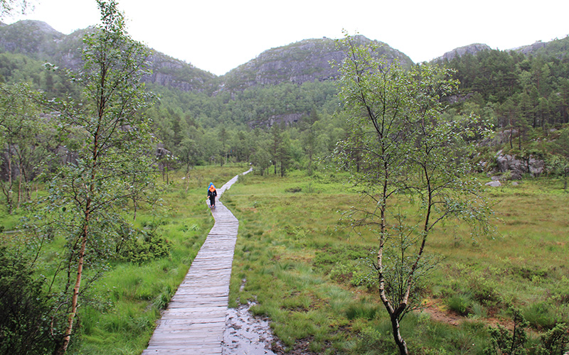 Pulpit Rock Trekking