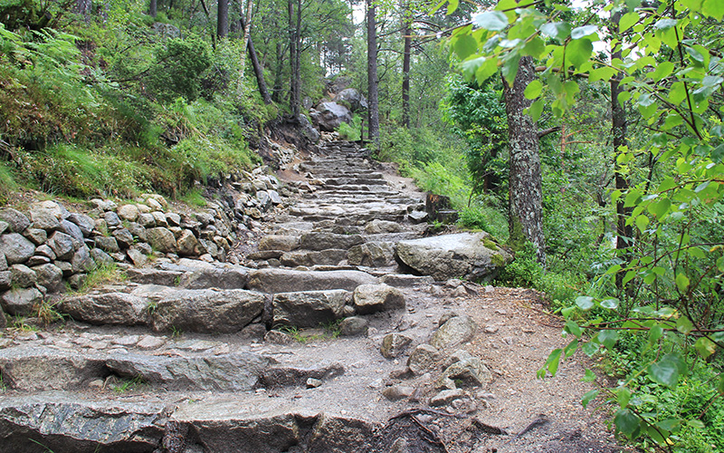 Pulpit Rock Yolu