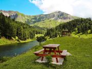 Artvin Nerede 📍 Artvin’e Nasıl Gidilir artvin nasıl gidilir