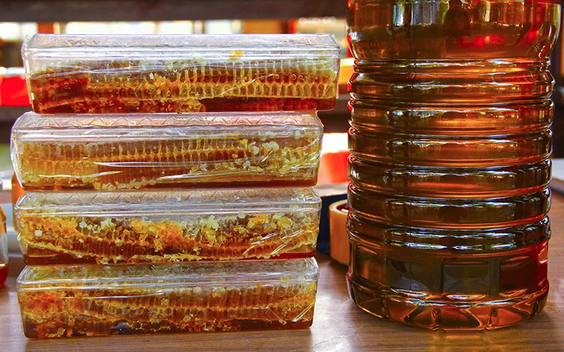 �am Bal� �le �nl� Bay�r K�y�, Marmaris