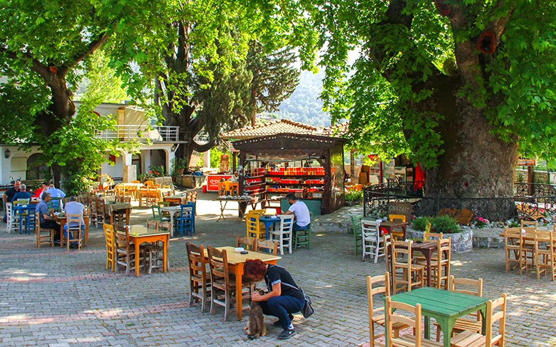 �am Bal� �le �nl� Bay�r K�y�, Marmaris