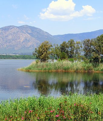 Köyceğiz Nerede 📍 Köyceğiz’e Nasıl Gidilir köyceğiz nerede