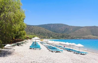 palamutbükü nerede