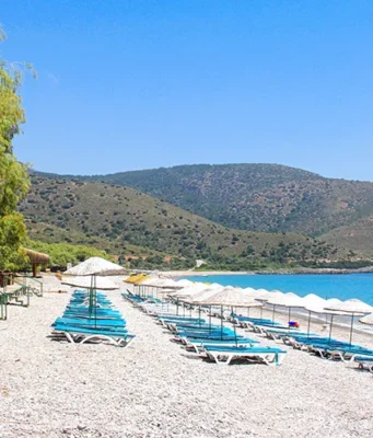 palamutbükü nerede