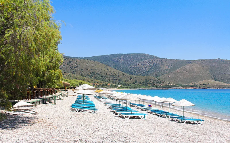 palamutbükü nerede