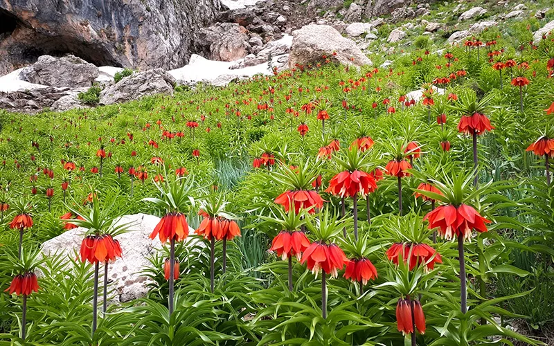 tunceli nasıl gidilir