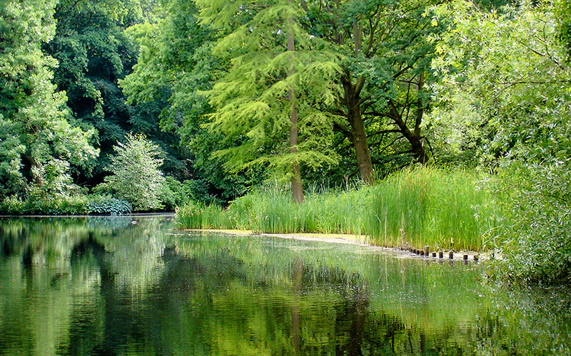 Tiergarten Berlin Almanya