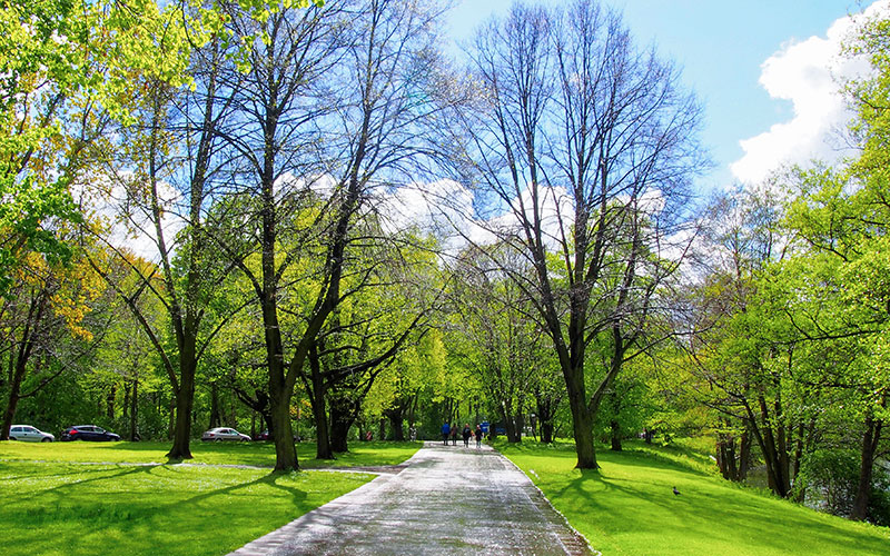 Tiergarten Berlin