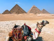 Kahire Nerede 📍 Kahire’ye Nasıl Gidilir kahire nerede