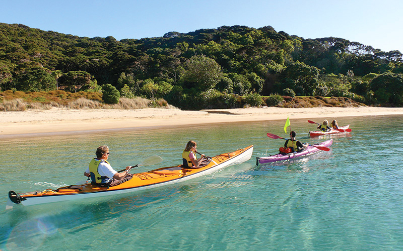 paihia nerede