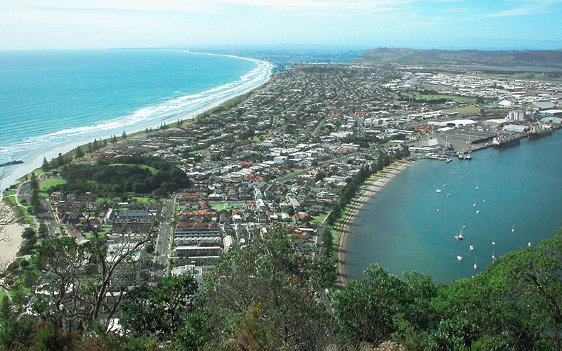 tauranga