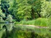 Berlin’in Yeşil Bahçesi: Tiergarten Tiergarten Berlin Almanya