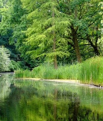 Tiergarten Berlin Almanya