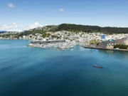 wellington nasıl gidilir