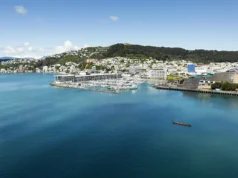 wellington nasıl gidilir