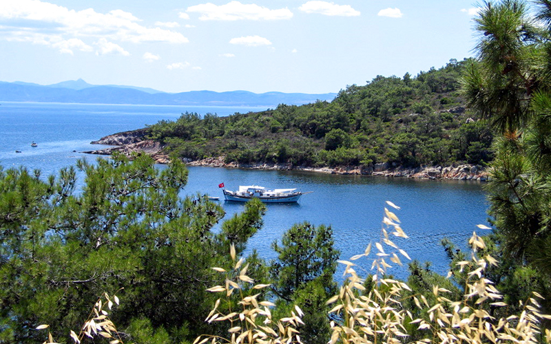 Ayvalık Tabiat Parkı