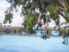 Adana’nın Denizi: Seyhan Barajı seyhan barajı gezilecek yerler