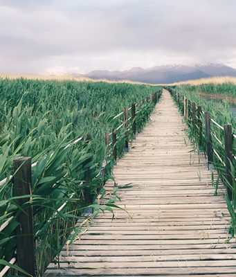 Sultan Sazlığı Rehberi: Nerede, Nasıl Gidilir? sultan sazlığı bilgi