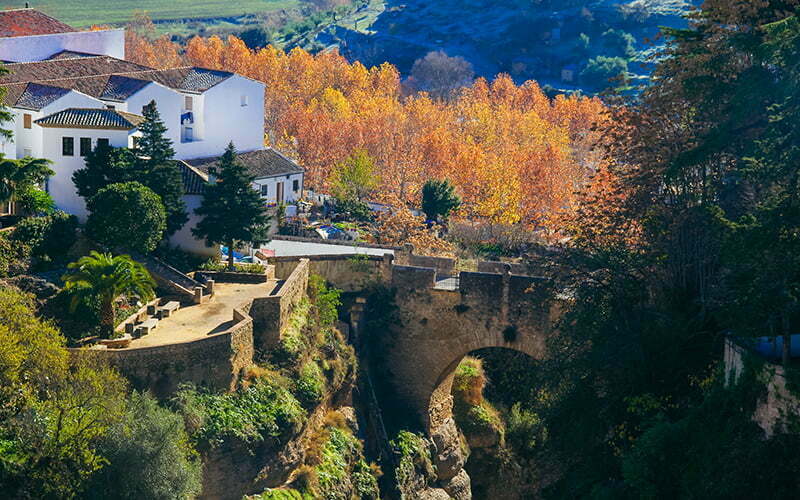 Puente Viejo