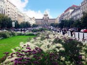Prag Vaclav Meydanı: Wenceslas Square Vaclav Meydanı