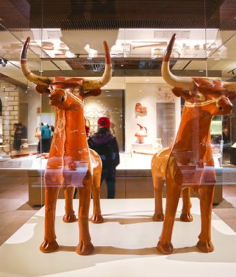 Ankara’nın En İyi Müzeleri   ankara müzeleri