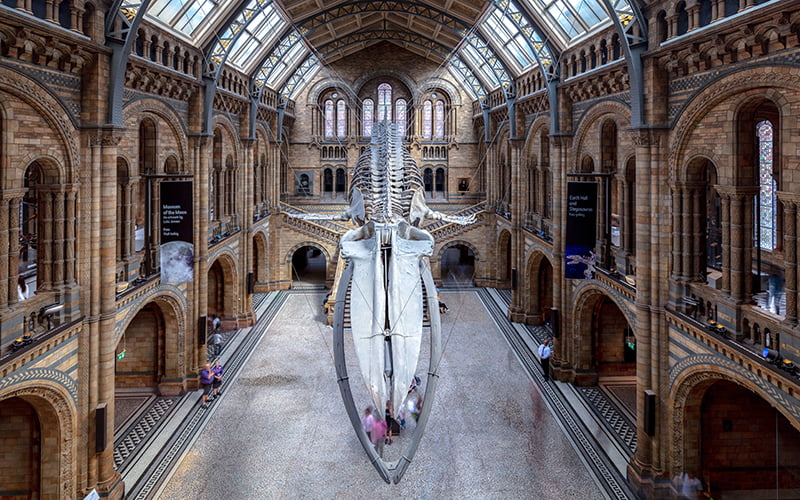 Natural History Museum