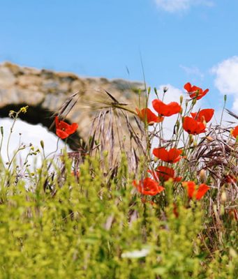 Anemurium Antik Kenti Anemurium Antik Kenti