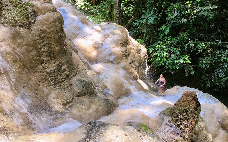 Bua Tong Chiang Mai