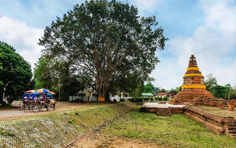 Chiang Mai Gezi Rehberi