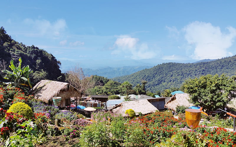 Doi Pui Hmong köyü