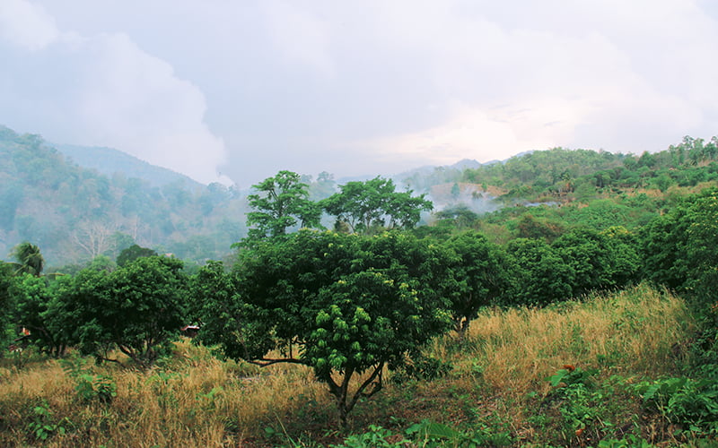 Mae Taeng Chiang Mai