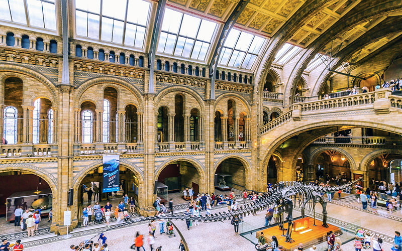 Natural History Museum London