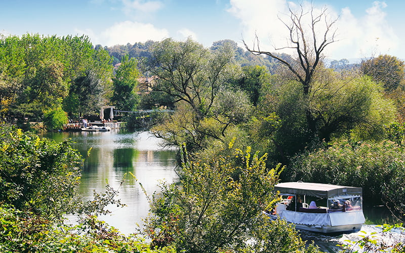 ağva